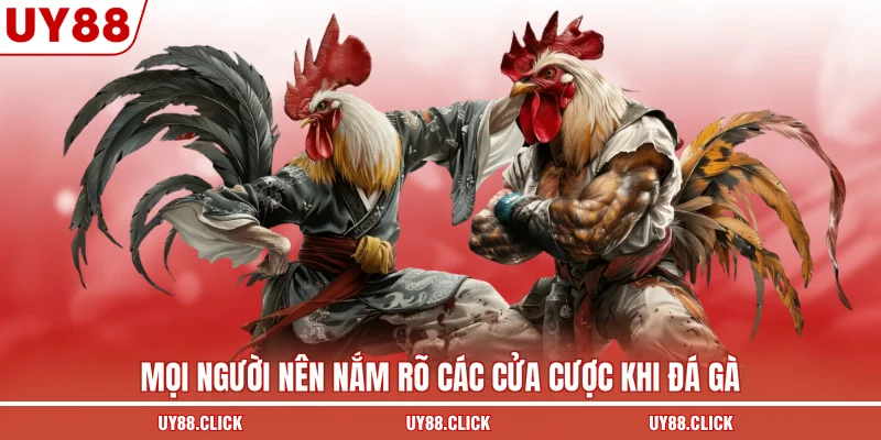 Mọi người nên nắm rõ các cửa cược khi đá gà