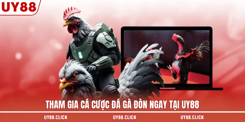 Tham gia cá cược đá gà đòn ngay tại UY88